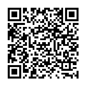 习惯了风暮寒脾性的叶芷蔚很快就被窗外的风景吸引去二维码生成