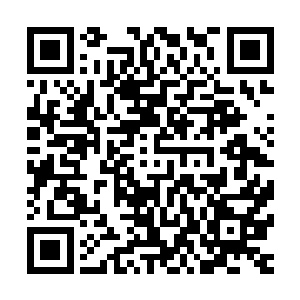 书中出现一个又一个方运曾经在石刻或传承中见到圣祖的形象二维码生成