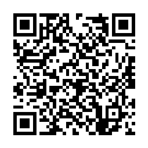 书名扬想不通自己到底犯了什么错让唐劫看出自己二维码生成