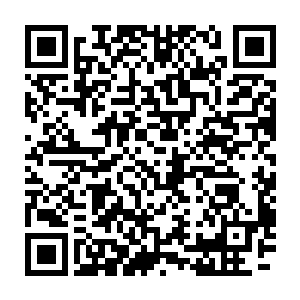 书房的主人是一位附庸风雅却又不愿意把太多的时间放在书本上的懒人二维码生成