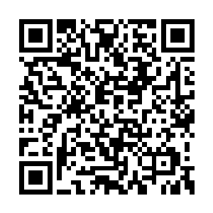 书架上都是从燕京城高门大户中搜检出来的珍本二维码生成