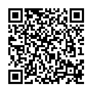 书染觉着自己不可跟上次林锦楼赏香兰膏子那样二维码生成