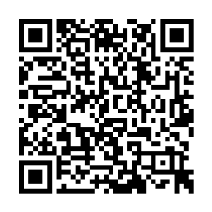 书桌上原本高高摞起的奏折顿时哗啦啦散了一地二维码生成