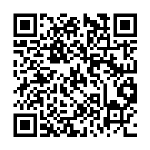 书苑陈博文被苏蓉拒绝的事并没有引得多大的波动二维码生成