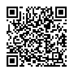 书记的确通过各种手段宴请一些代表并送了一些礼物外二维码生成