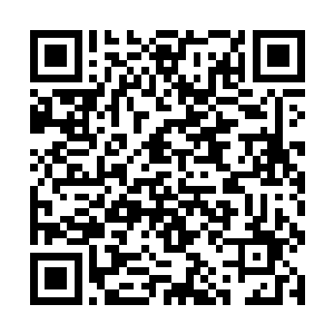 书记碰头会按照常理是在书记办公室外的嗅客室里开二维码生成