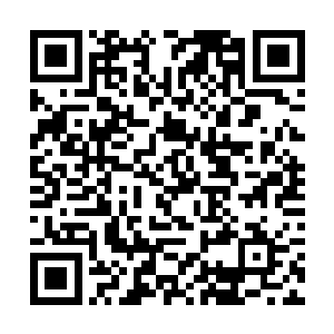 书评区招打字员网络兼职什么的广告一个字都不要信二维码生成