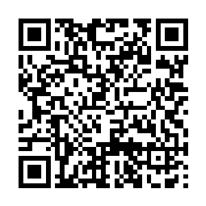 买了整整五大盒巧克力花生糖以及十几罐功能饮料二维码生成