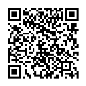 买回去不管是摆在办公桌上还是家里都有着极好的寓意二维码生成