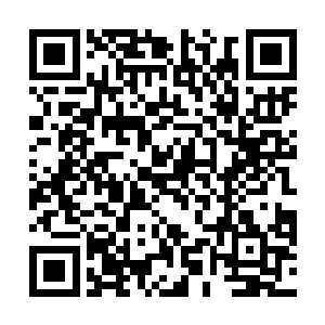 乱了叶伯煊想看明白他有多喜欢这个女孩心神的节拍儿二维码生成