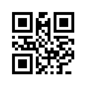 乱拳二维码生成