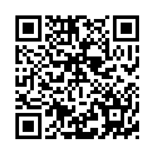 乱石堆的中央还长出来了一棵干枯的杨树二维码生成