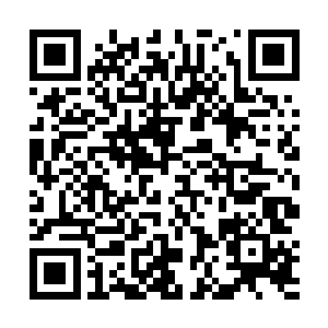 了住截给球传弹子炎爆个那他把就手右出伸地意随似看二维码生成