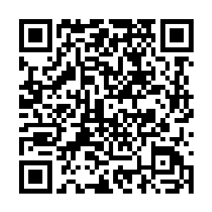 了地在所们他兽叫是就心中的乱混最乱紊量能来看二维码生成
