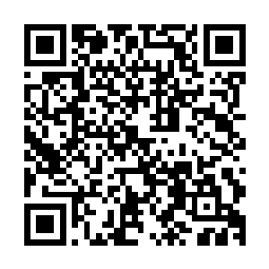 争分夺秒是每个嘉宾都用一双大筷子从一个容器里面夹塑料球二维码生成