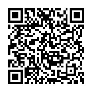 争取在让他活到这批货物安全送抵国内的那一天二维码生成