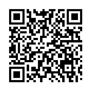 事先约定了针对不同情况的数百种暗号二维码生成