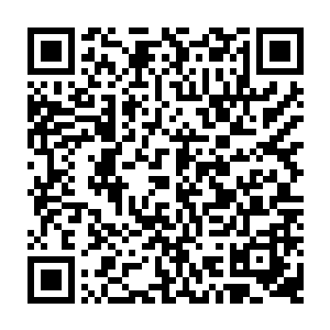 事到如今他如何还能不知当日澹台荆与澹台玥就是带着她进宫来冒充那澹台雅的二维码生成