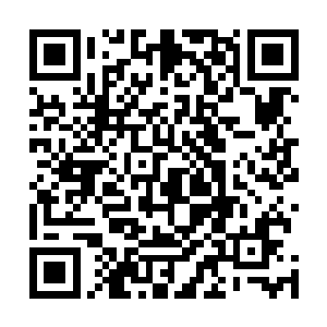 事实上从来没有一个族群能够用武力统治一个国家到永远二维码生成