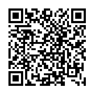 事实上他都快忘了自己已经有多久没有拿过一选的待遇了二维码生成