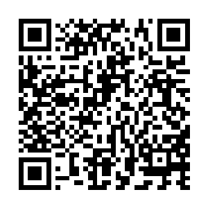 事实上只要有眼睛就能看出此时王世子的心情极好二维码生成