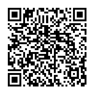 事实上向凤巢合金会这样乡镇合金会在东外街旮旯里找个门脸也能搞这么大业务二维码生成