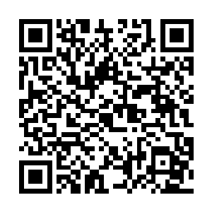 事实上江少游这两年在外面常常连自己的生日都会错过二维码生成