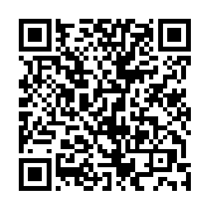 事实上法律规定只有司法机关才拥有限制人身自由的权力二维码生成