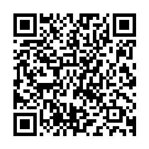 事实上生化人和你们平时看到的电影里面的东西完全是不一样的二维码生成