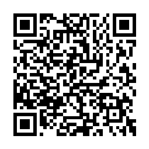 事实上若不是杨开机缘巧合得了天地泉这种东西二维码生成