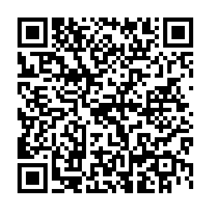 事实上这两人的气质也委实不是那种会低头耳语你侬我侬搞暧昧的人二维码生成