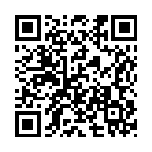 事实上这只鸟并不是整个撞在坎普的脑袋上二维码生成