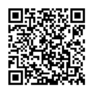 事实上这女人根本就不是为了那大红蓝花而来的二维码生成