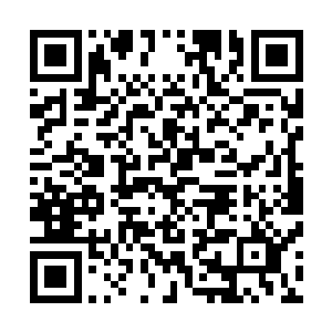 事实上这家伙除了初期抓上和没有惩戒到大龙的那一波以外二维码生成