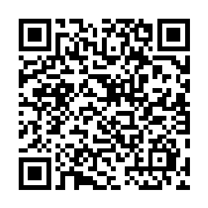 事实上阎修认为可能自己夫人罗珍被杀才是重要因素之一二维码生成