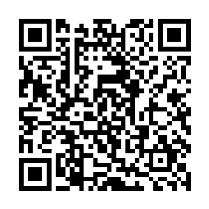事实上食物具有抗辐射的效果也不是什么很稀奇的事二维码生成