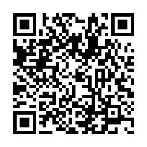 事实就是……你的确已经陷入深度的沉睡当中了二维码生成