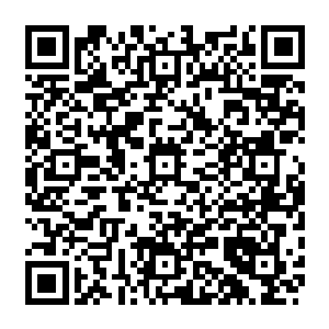 事实正在朝着一个他们最不期望的方向发展――一个千百年来形成的定律正在被推翻二维码生成