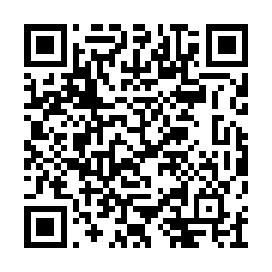 事情传开其他八帝家族肯定会联手把武家给灭了二维码生成