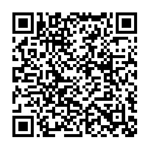 事情就是凌云公主不愿意嫁给黎王所以设计帮助栖霞公主进入黎王府二维码生成