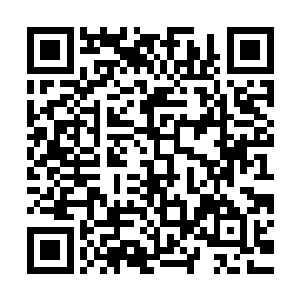 事情没有那么简单……苏叶在忍过开始的一段大概三级的疼痛后二维码生成