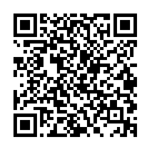 事情的起因是新蓝翔汽修专业用来制造车祸现场的汽车不好买二维码生成