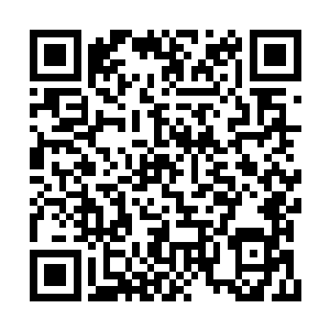 事情跟平南将军府扯上关系这是他万万没想到的二维码生成
