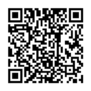 二……五十五……七十八……八十九……九十七……二维码生成