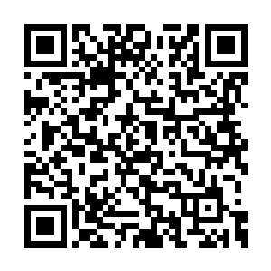 二人骑在了翼龙的背上转眼便绕了变了整个囚岛二维码生成