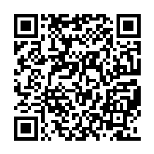 二公子已经领着二少奶奶和麒少爷坐上马车走了二维码生成
