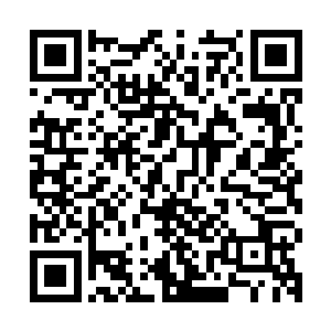 二公子身边跟着的那上百名身穿一样服装的人就是他的直系护卫二维码生成