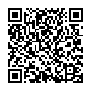 二则也是自己正要如饥似渴的汲取这个时代更多信息的时候呢二维码生成