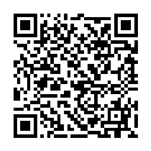 二则是因为脚踝上的伤势……那鬼婴啃咬出的伤口二维码生成