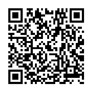 二刚这个时候已经完全没有了那种高傲的神情了二维码生成